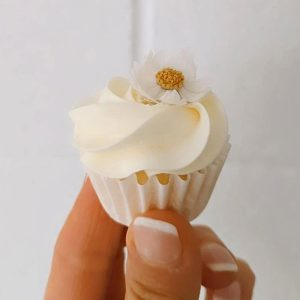 Mini Cupcakes