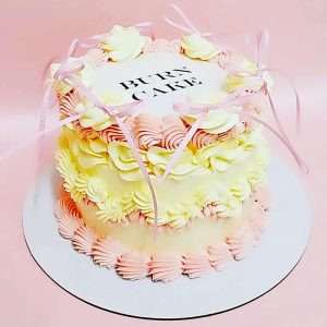 Burn Cake